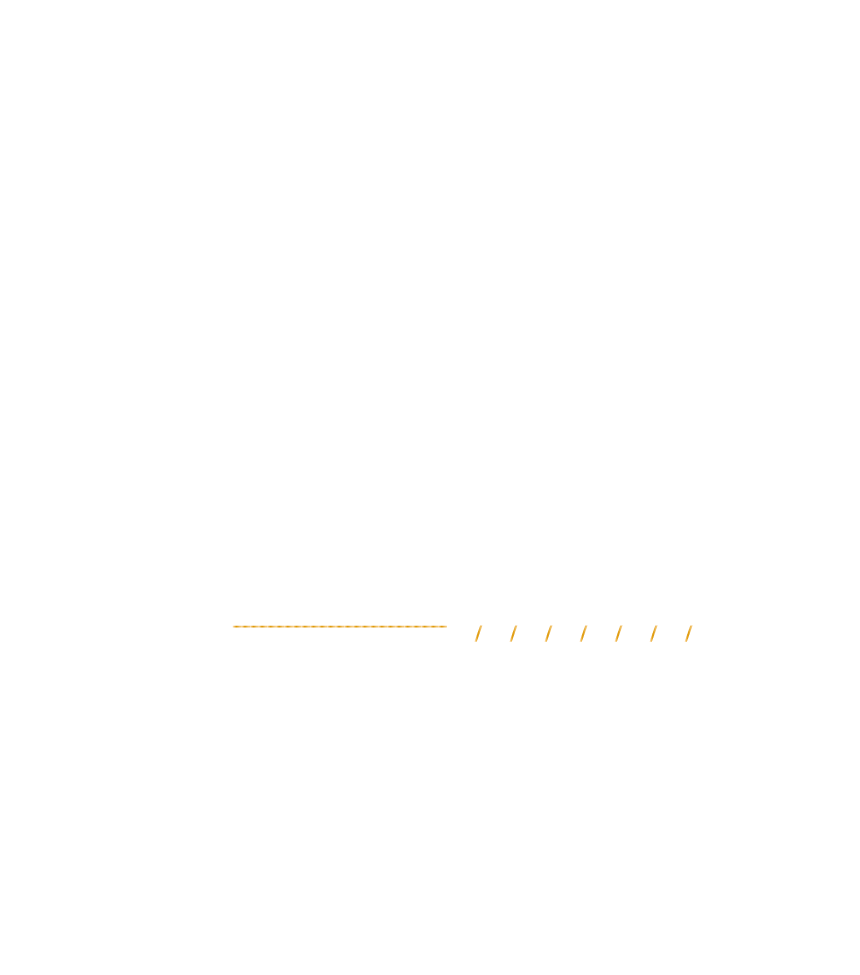 富宇森之樹團隊｜燈光照明大師｜羅伊真